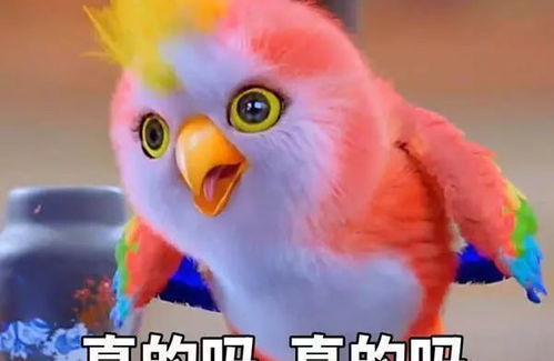 (萌宠呈祥怎么获得蛋)如何成为萌宠呈祥攻略的高手，让您的小可爱更加可爱！