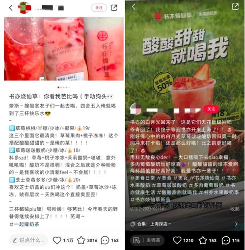 恋恋奶茶小铺内置菜单：丰富多样的茶饮选择，满足你的味蕾需求