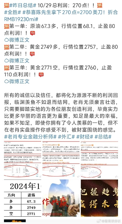 黄大仙精选三肖三码资料详解|机构预测解释落实方法_PT.6.96