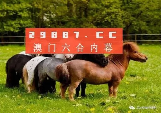 白小姐今晚特马期期开奖六|城市探秘发现隐秘美景_弹性款.2.313