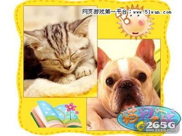 猫狗缠斗2024最新版本下载-猫狗缠斗3d游戏下载v.8.18